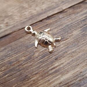 Cute swimming‎ beach turtle charm 🐢